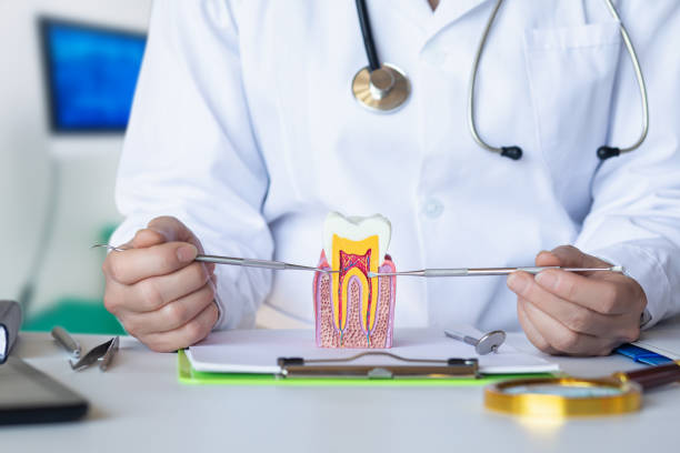 Best Emergency Dental Extractions in Mckinleyville, CA